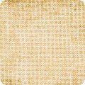 Chalk & Charcoal - Parchment