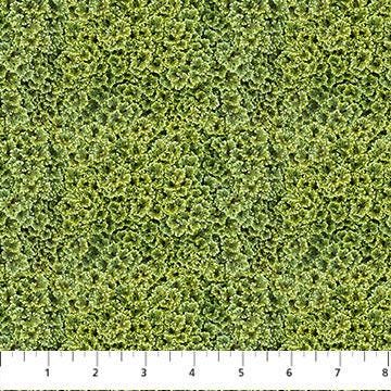 Naturescapes - Foliage