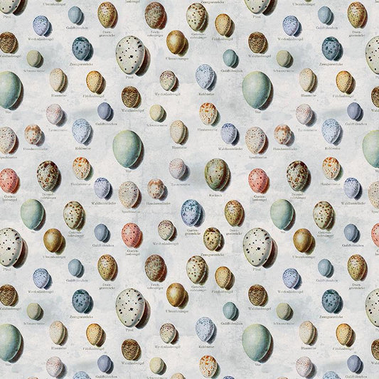 Tim Holtz Blue Palette Collection - Eggs #285