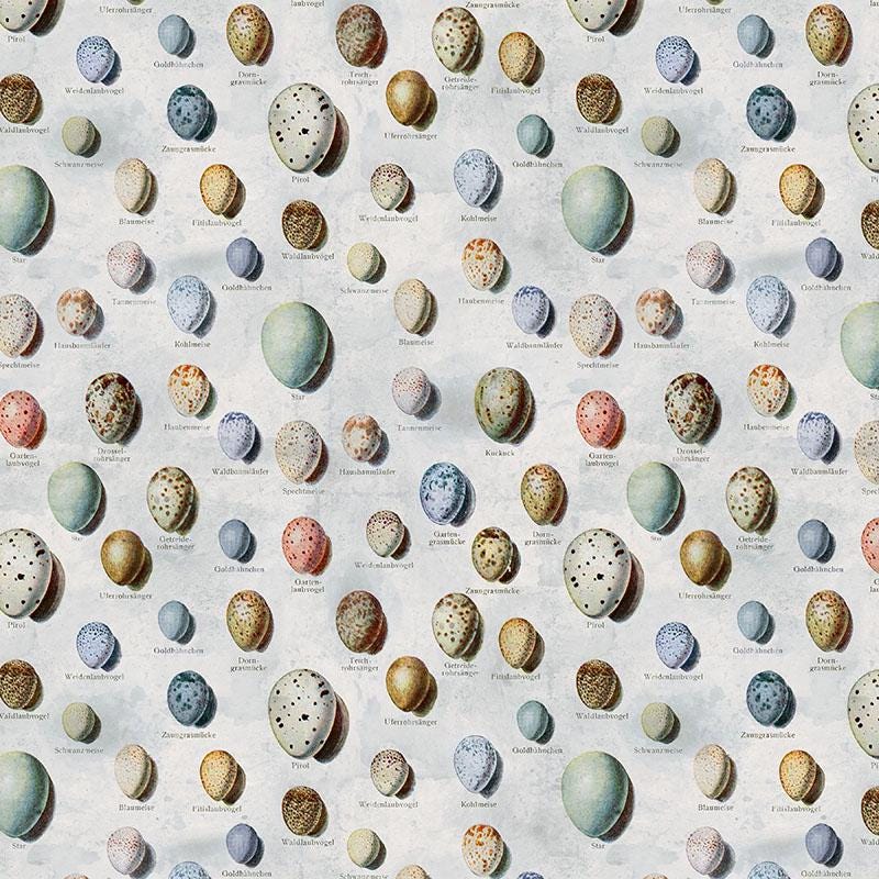 Tim Holtz Blue Palette Collection - Eggs #285
