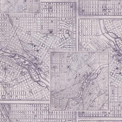 Tim Holtz Purple Palette Collection - Map #303