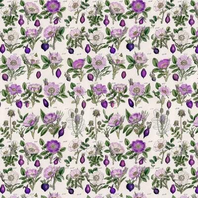 Tim Holtz Purple Palette Collection - Botanical #306