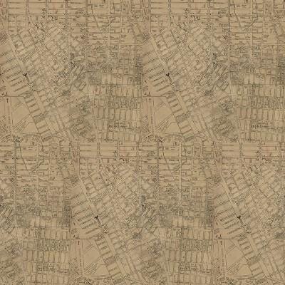 Tim Holtz Neutral Palette Collection - Map #253