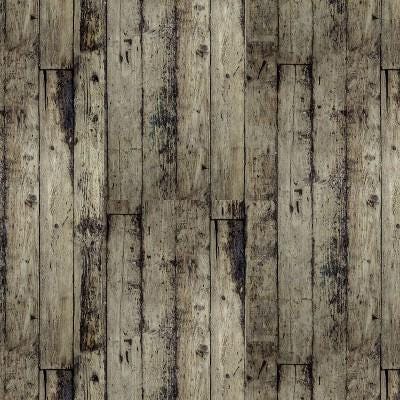 Tim Holtz Neutral Palette Collection - Wood #256