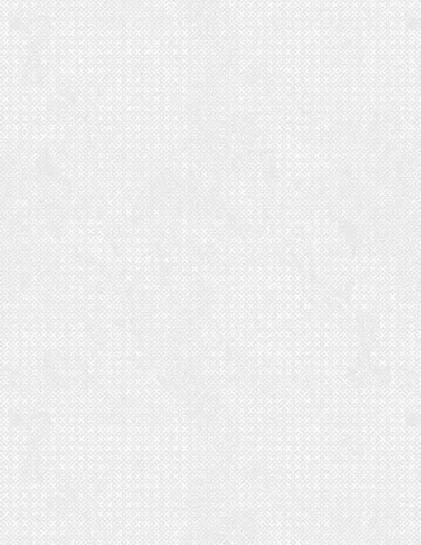 Criss Cross White on White - Wilmington Prints - #85507-101