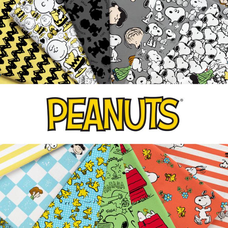 Peanuts -10 inch squares