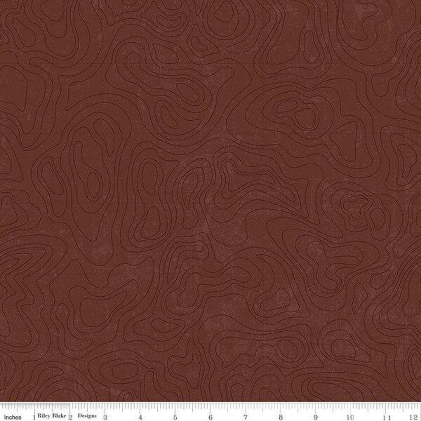 National Parks Topographic Brown - #C13293 Brown