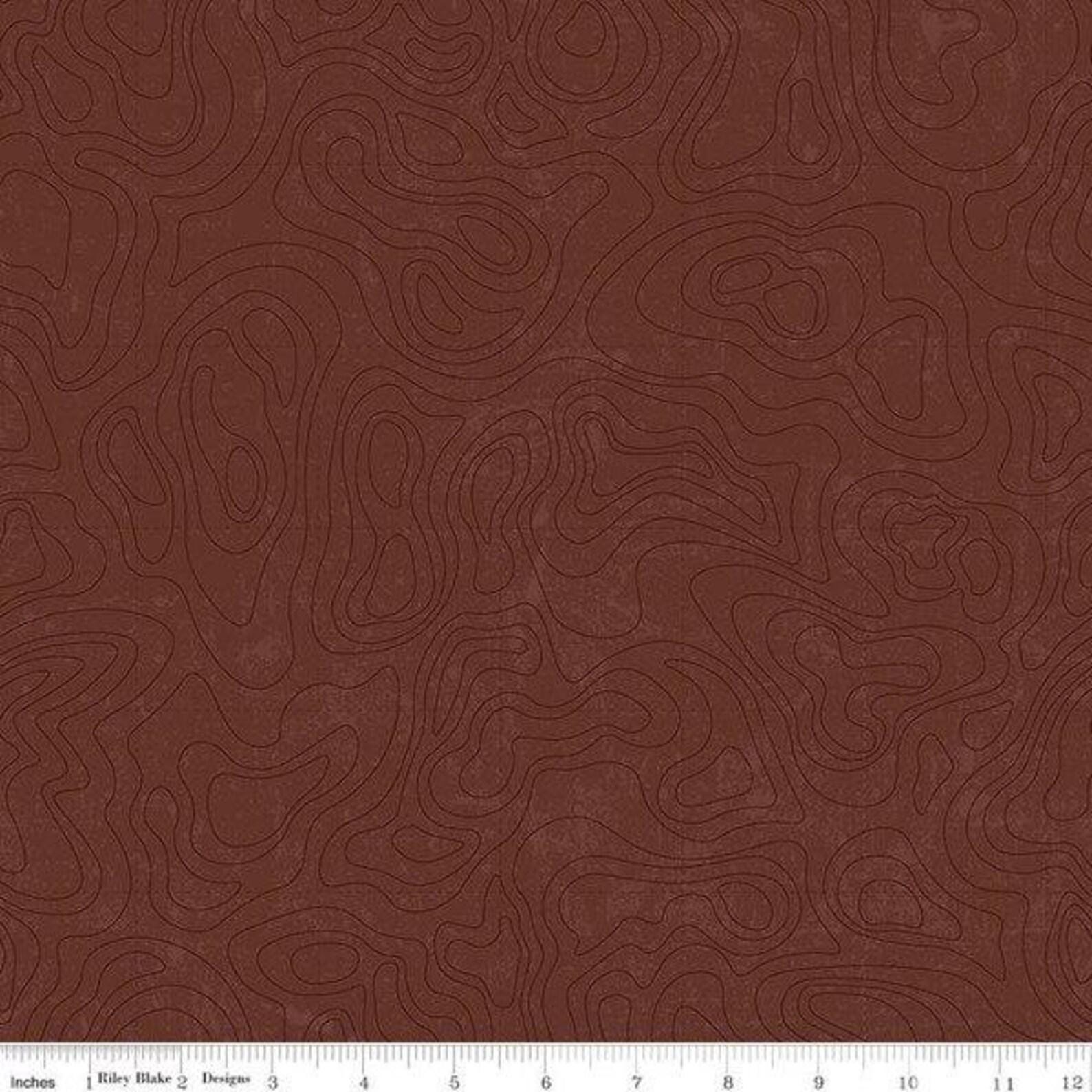 National Parks Topographic Brown - #C13293 Brown