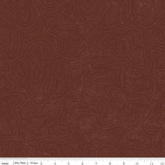 National Parks Topographic Brown - #C13293 Brown