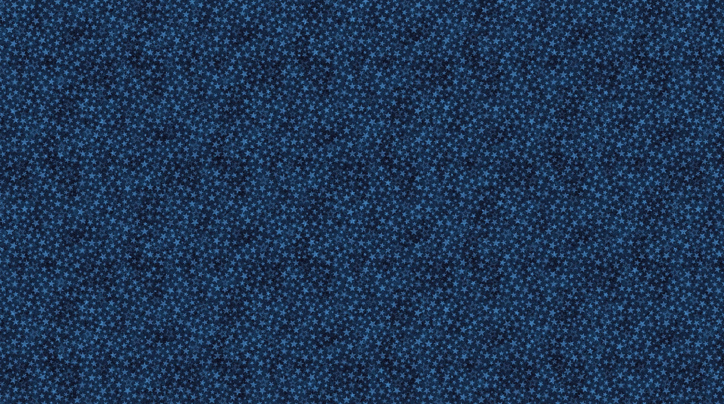 Stars & Stripes 14 - Navy #29050-49