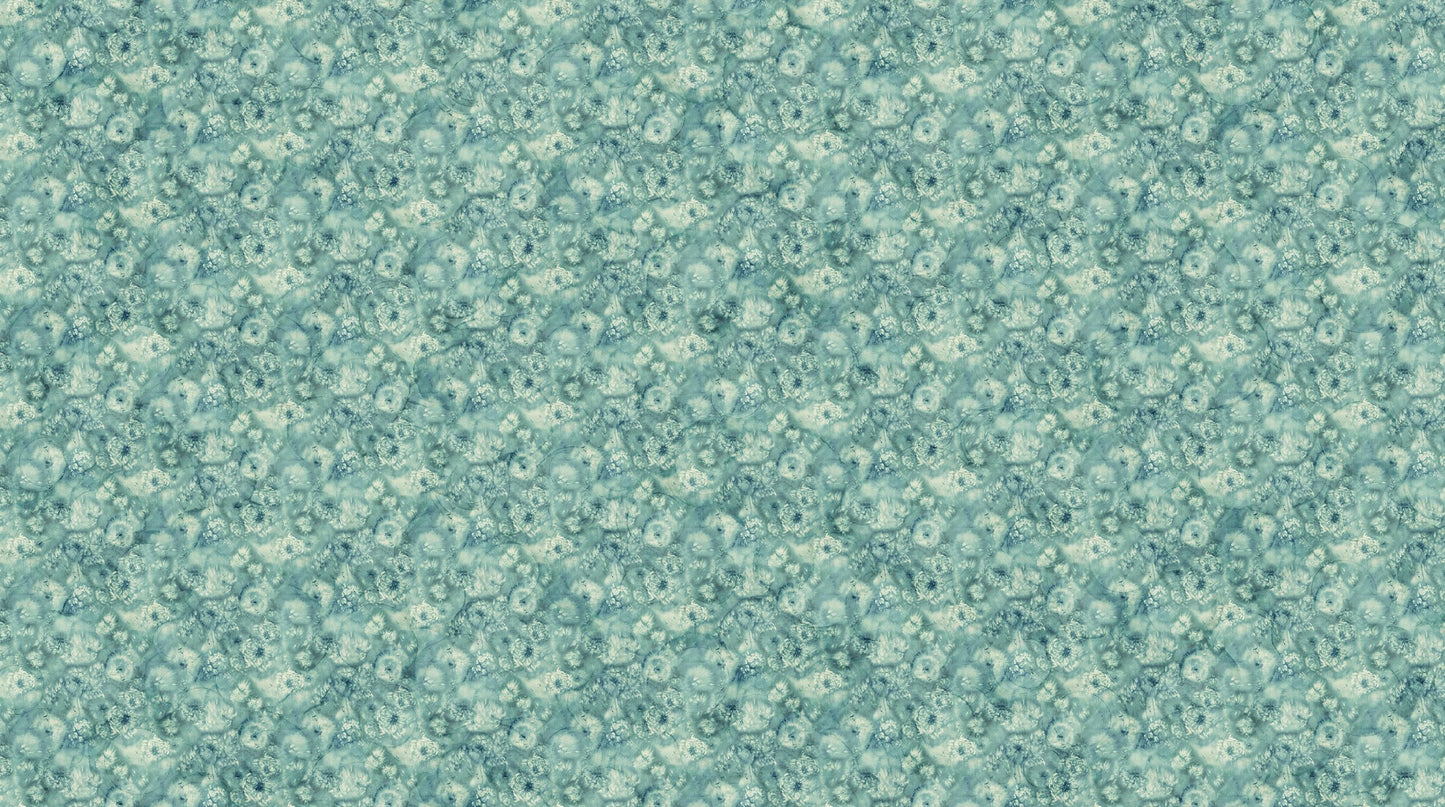 Whisper - MedTeal Multi #DP28704-66