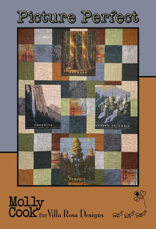 Villa Rosa Pattern Card-Picture Perfect