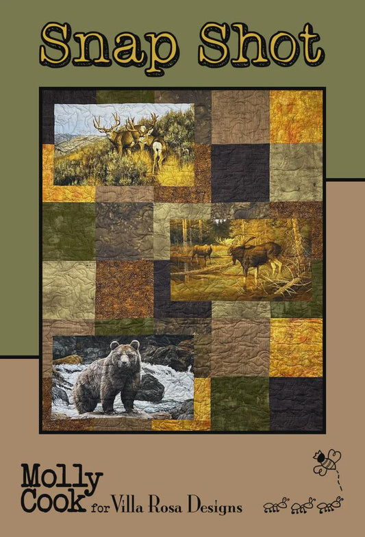 Villa Rosa Pattern Card-Snap Shot